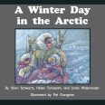 A winter Day in the Arctic