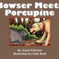 Bowser Meets Porcupine (6 pack)