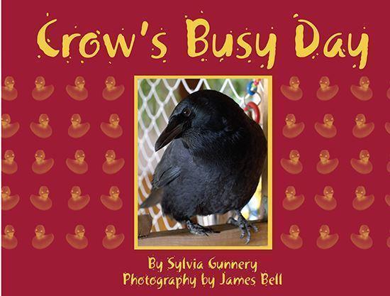 crows-busy-day_lg