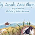 Baby Canada Goose Sleeps In