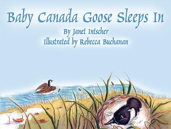 Baby Canada Goose Sleeps In