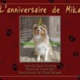 L'anniversaire de Mika